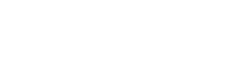 put option stock assignment SIR Logo